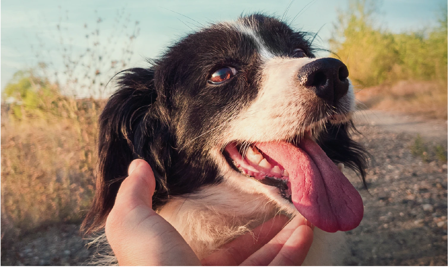 10 year banner image